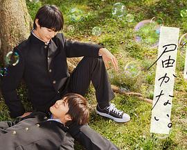 扬州上门网站优化报价表